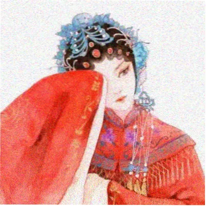 读者青梧的头像
